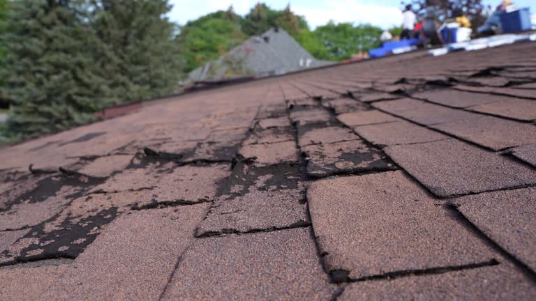 Best Storm Damage Roof Repair  in Canal Winchester, OH