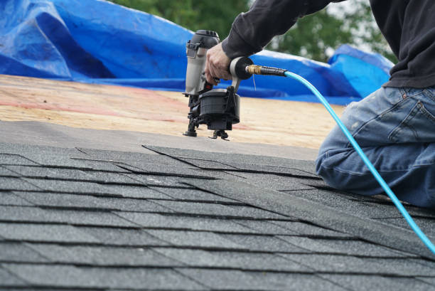 Best Roof Ventilation Installation  in Canal Winchester, OH